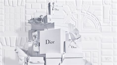 dior shoss|dior official online store.